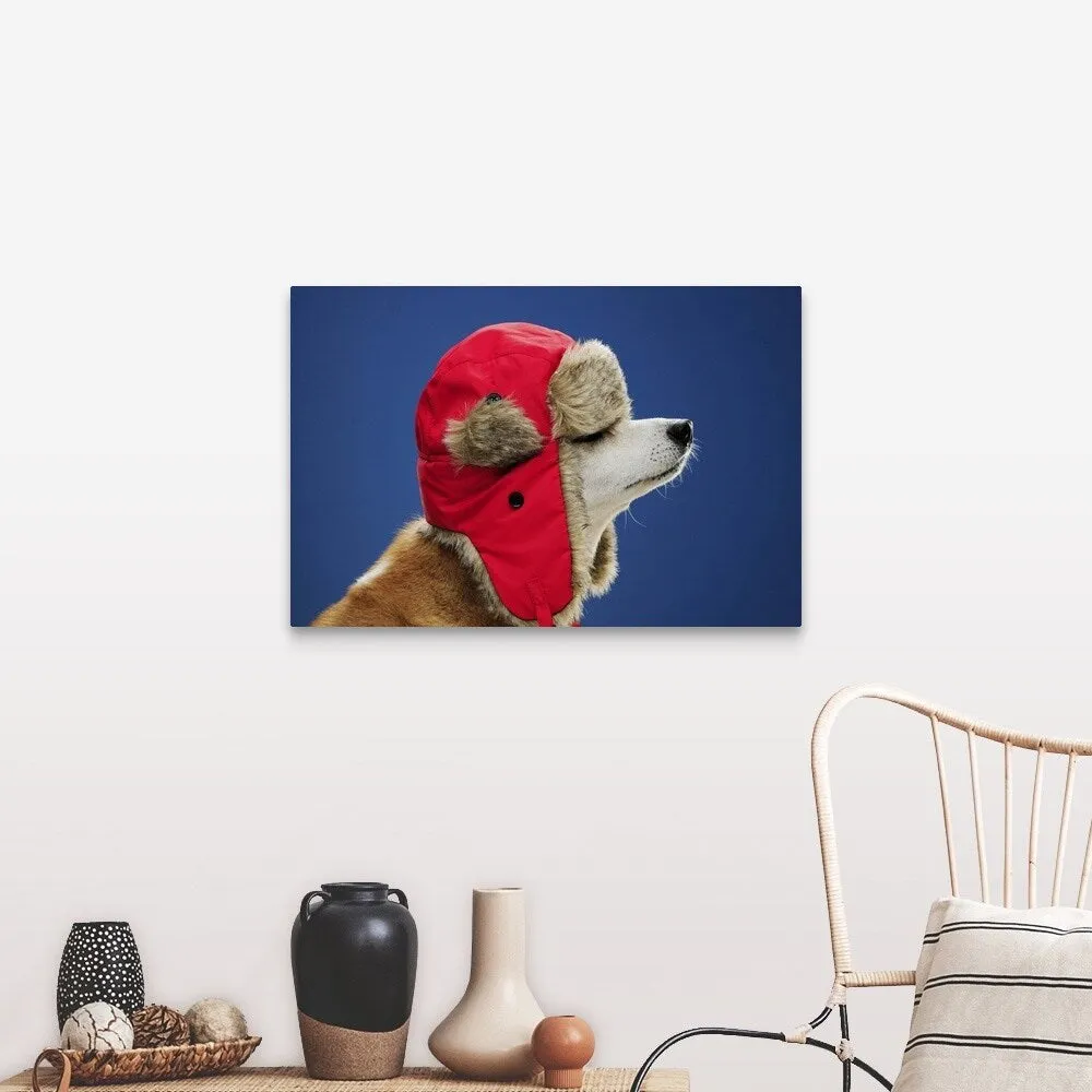 "Dog wearing his winter hat" Canvas Wall Art