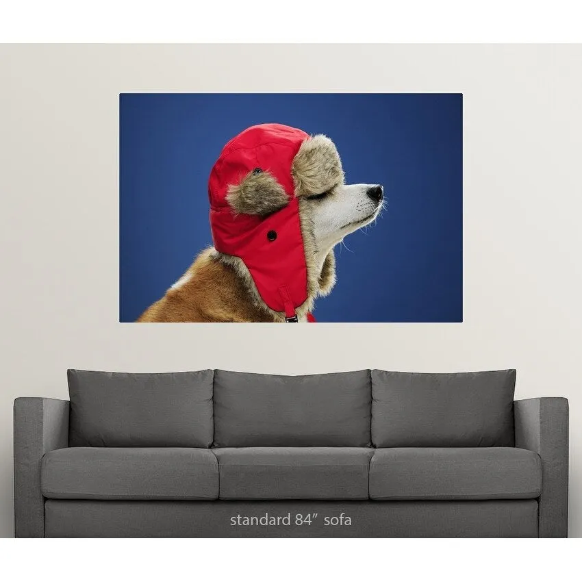 "Dog wearing his winter hat" Poster Print - Multi