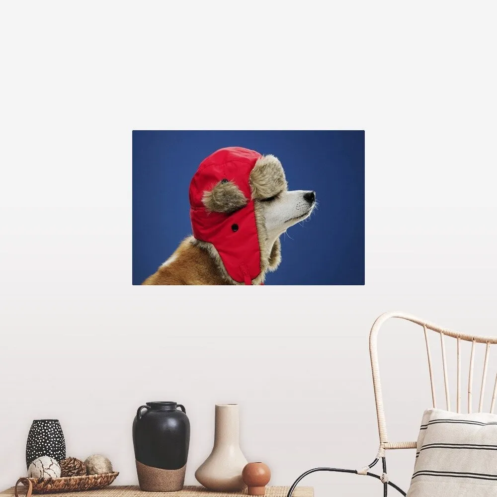 "Dog wearing his winter hat" Poster Print - Multi