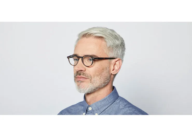 READING GLASSES #A TORTOISE