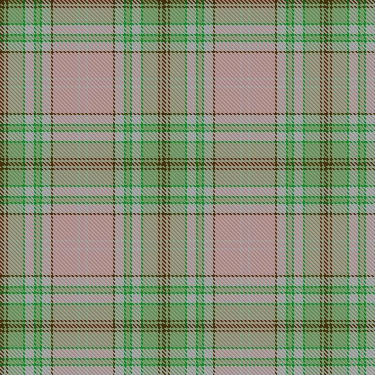 Sakura (Japanese Four Seasons) Tartan