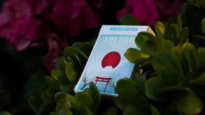 Sakura V2 Winter Edition