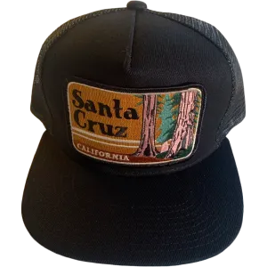 Santa Cruz Trucker