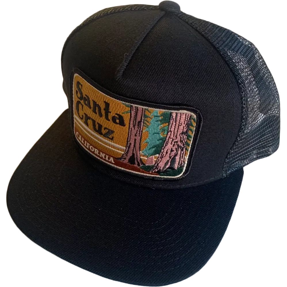 Santa Cruz Trucker