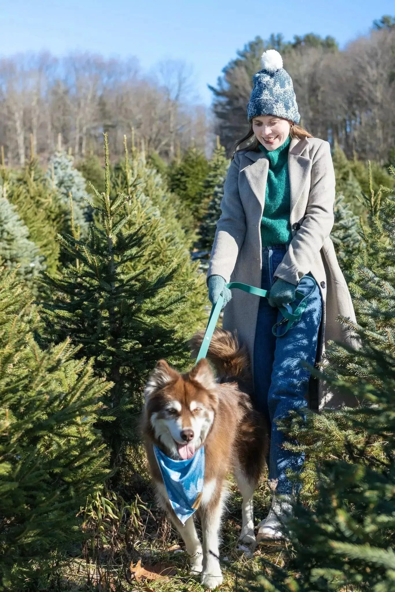 Spruce Winter Hat with Pom Pom & Waterproof Dog Collar Matching Set
