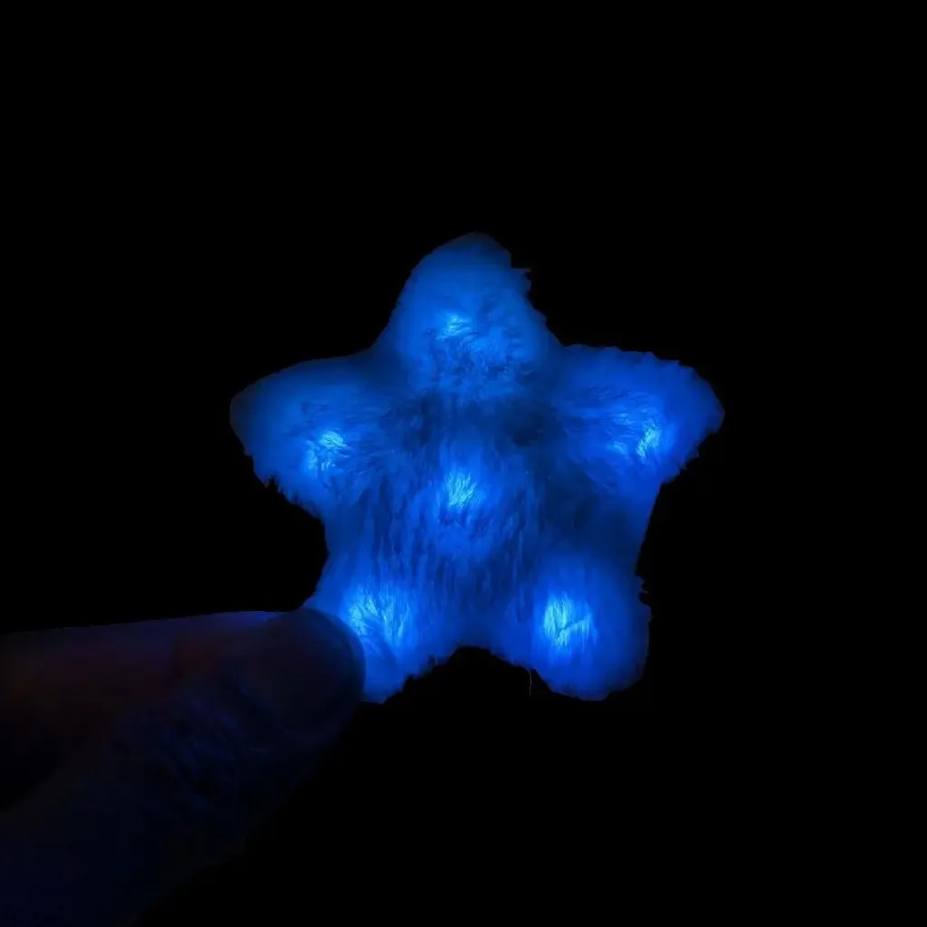 Star Hair Clip