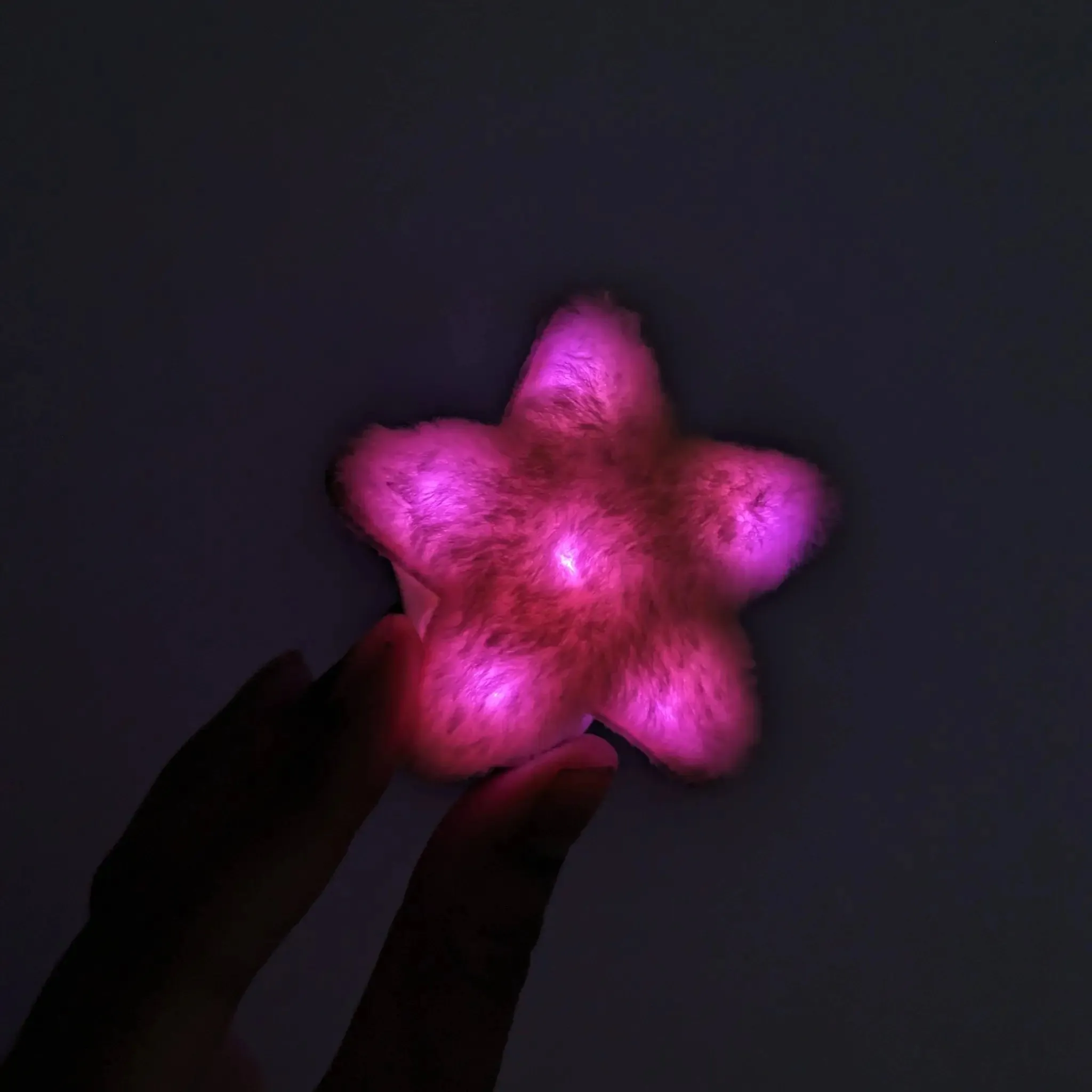 Star Hair Clip
