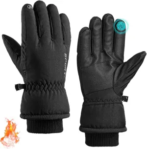 Winter Gloves, Waterproof Thermal Touchscreen Ski Glove, Suit for Ski, Cycling, Hiking, Driving, Typing, Freezer Work