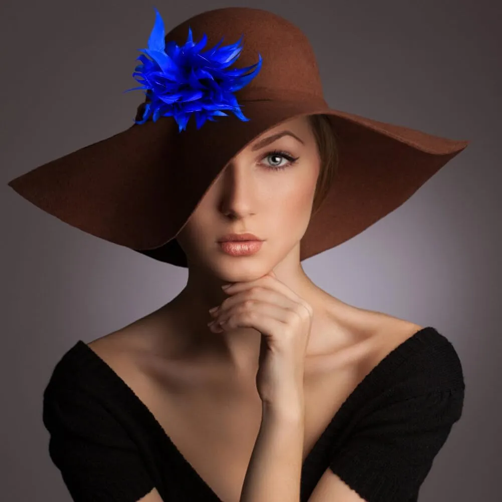 Women Feather Brooch Fashion Brooch Pins Corsage Hair Clip Headwear Hairpin Hairband for Derby Hat Cocktail Party