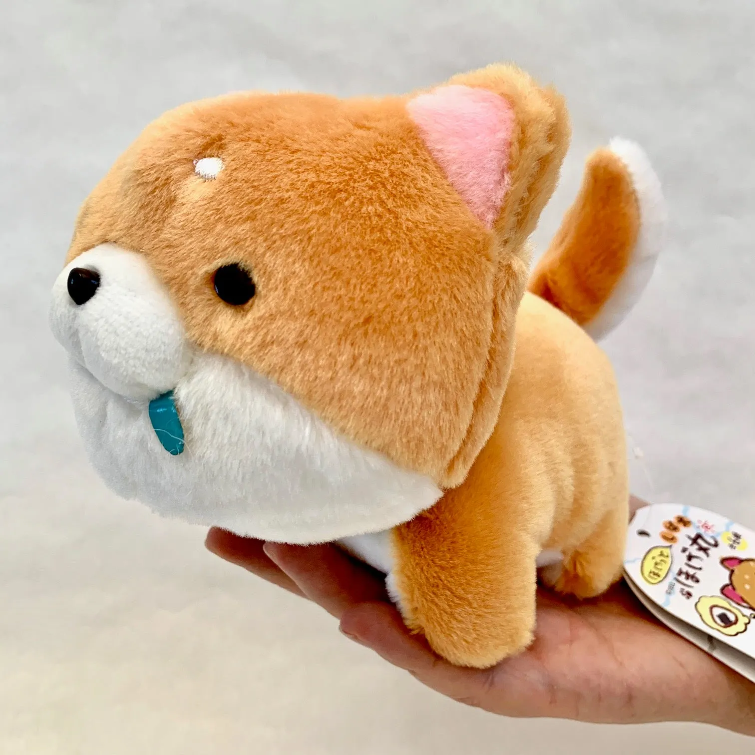 X 63054 SHIBA INU PLUSH-DISCONTINUED