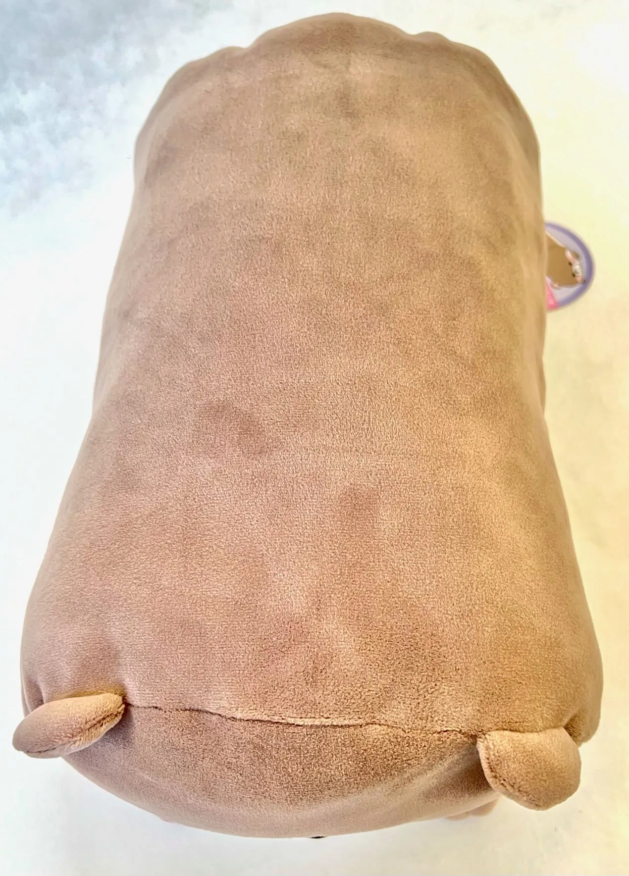 X 63293 CRUX OTTER PILLOW PLUSH-DISCONTINUED