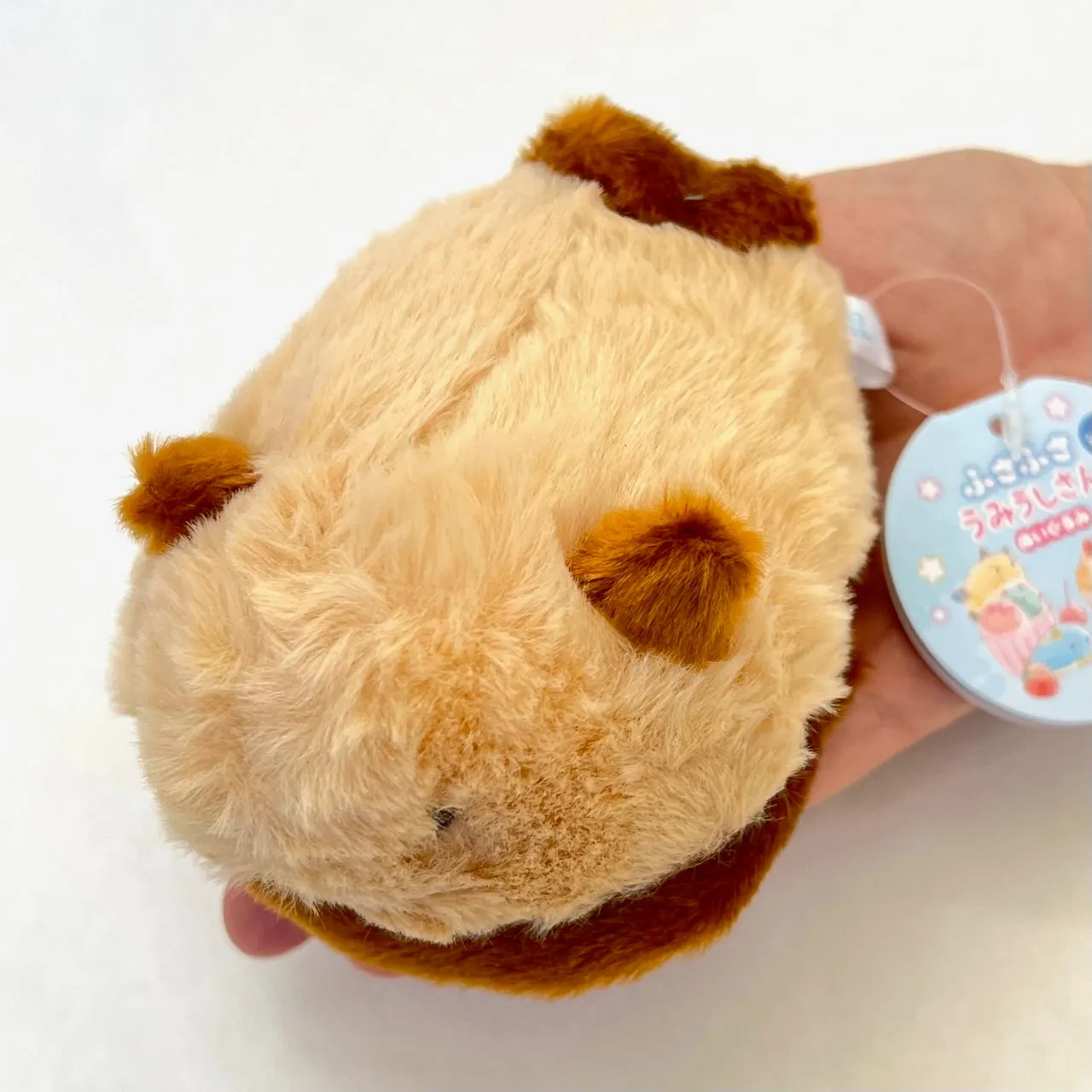 X 63396 SEA SLUG FLUFFY PLUSH-DISCONTINUED