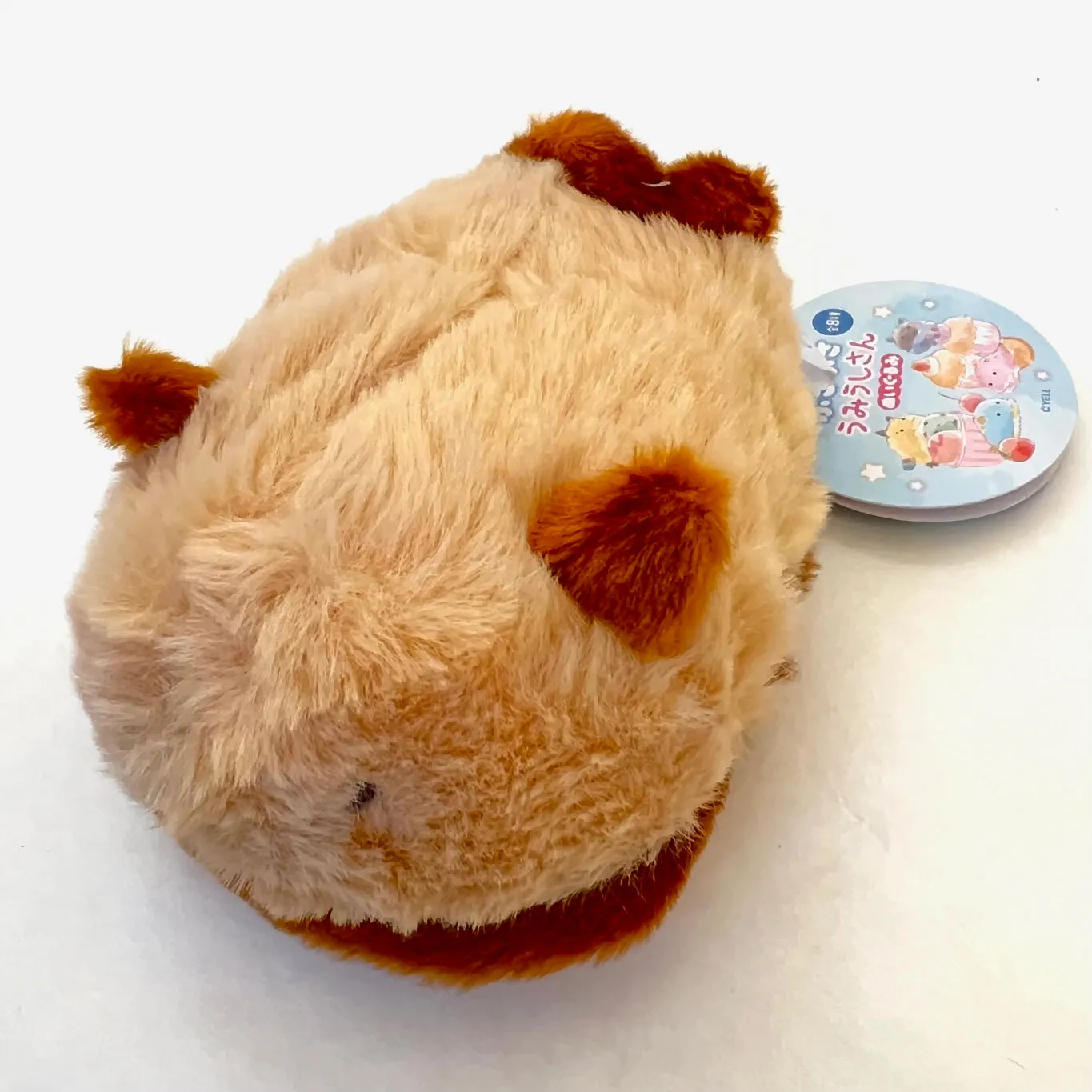 X 63396 SEA SLUG FLUFFY PLUSH-DISCONTINUED