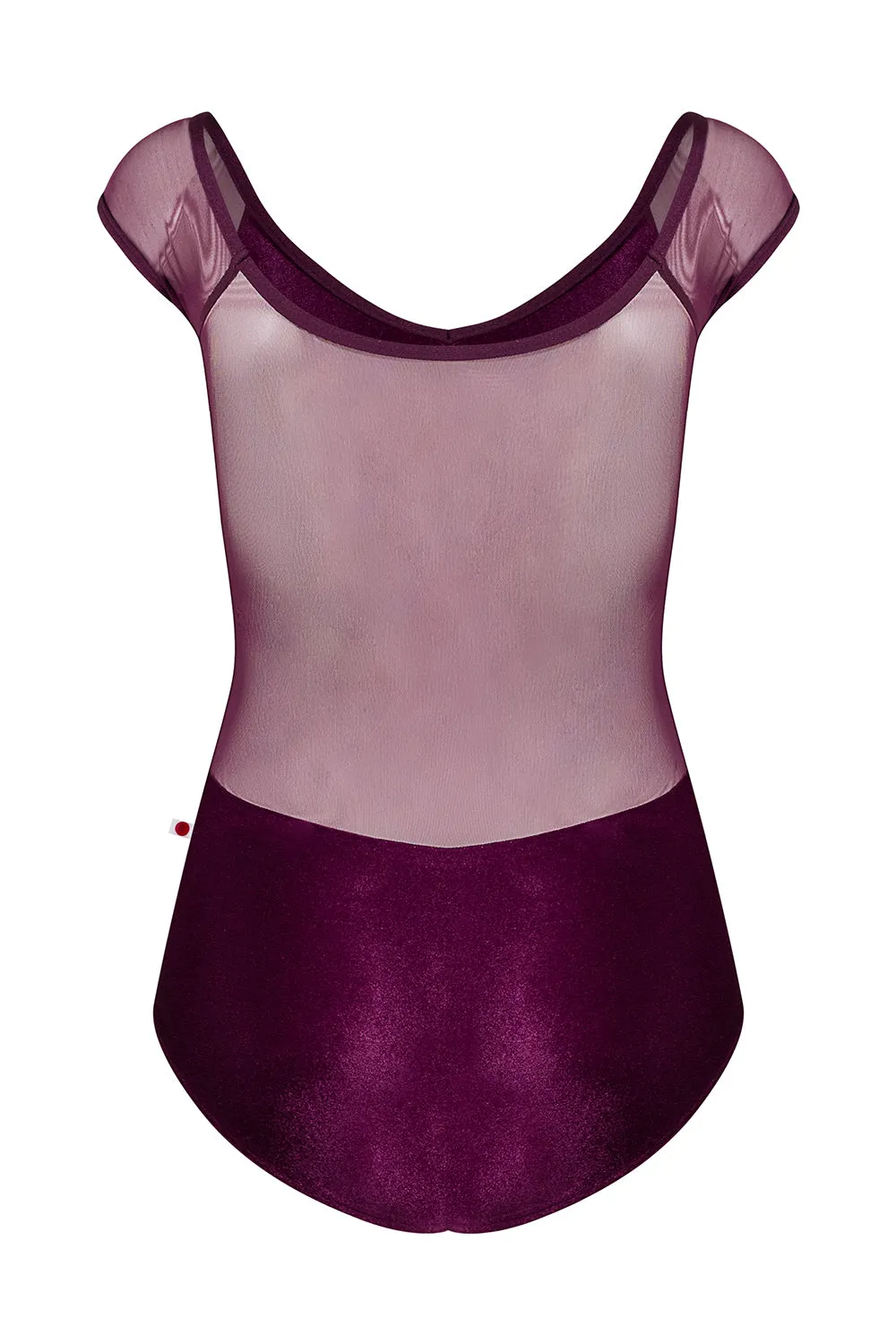 Yumiko "Nina Mesh" Cap Sleeve Leotard